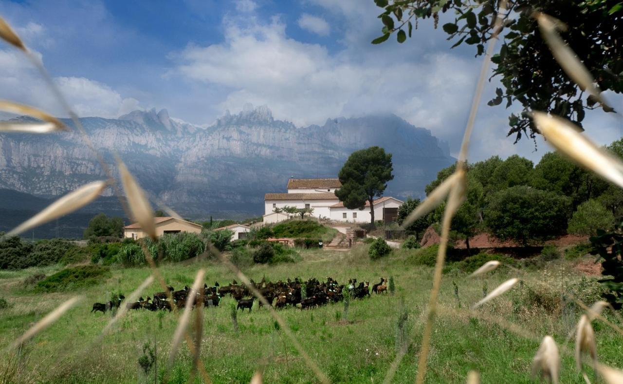 La Frasera Alojamiento Rural Vacarisses Kültér fotó